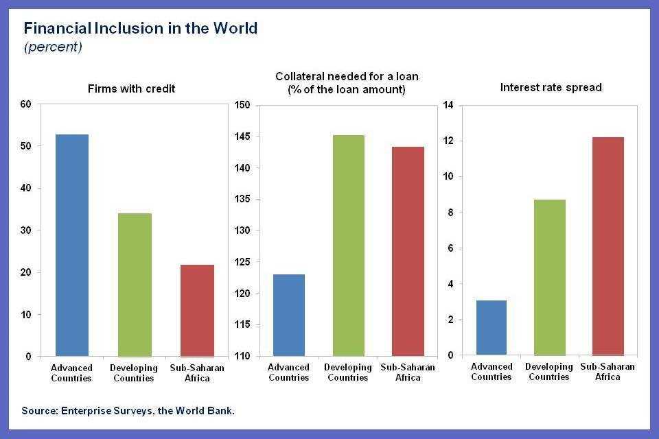 Emerging Markets and Financial Inclusion